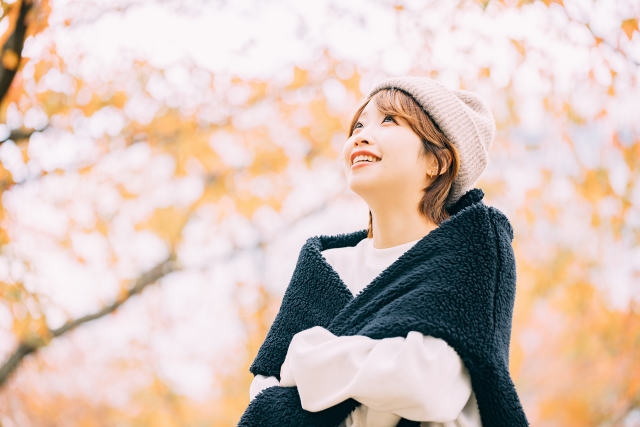 愛知県の紅葉スポットメインビジュアル